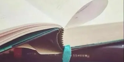 每日一句励志语录,每日一言正能量句子 每日一句励志语录,每日一言正能量句子